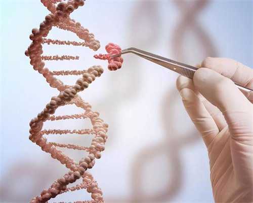 杭州试管助孕：深入解析供卵试管婴儿的费用与流程