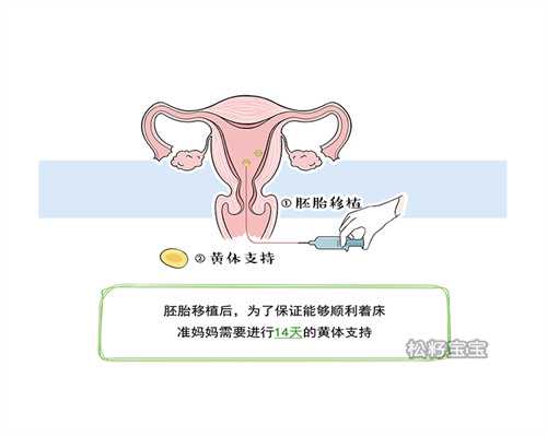 杭州试管助孕：2026年权威三代试管医院排名与选择指南