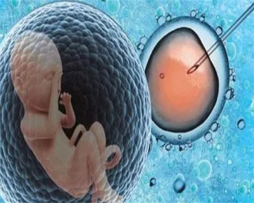 杭州供卵助孕医院的选择：流程、费用与成功率详解